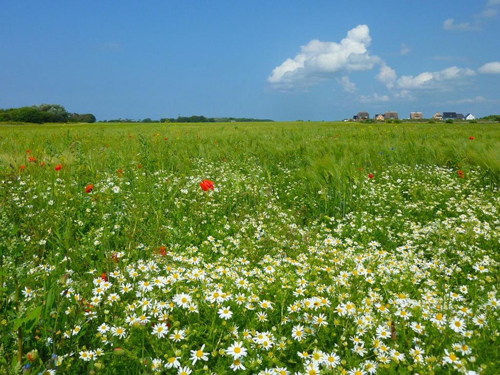 Feriendorf Am Bakenberg Dranske Buitenkant foto